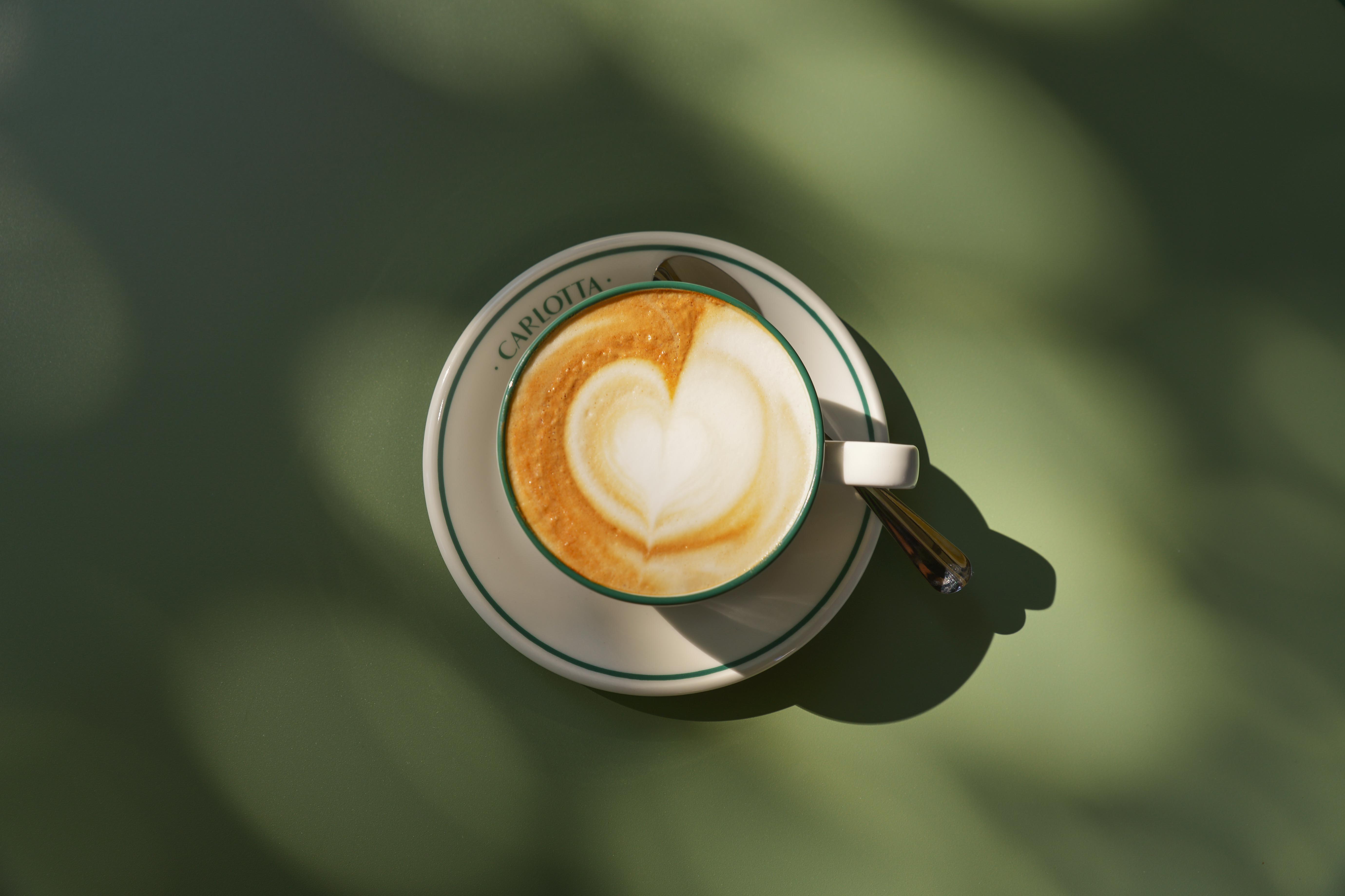 Perfekt zubereiteter Cappuccino mit Latte Art